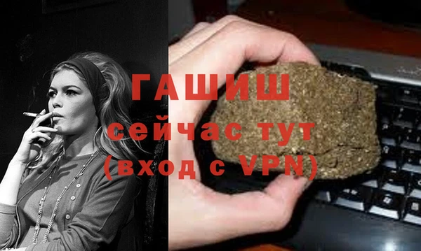хмурый Алексин
